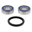 Rear wheel bearing set with oil seals for Gas Gas TXT-250 PRO year 2002-2012