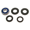 Rear wheel bearing set with oil seals for Honda CN-250 Helix year 1986-1999